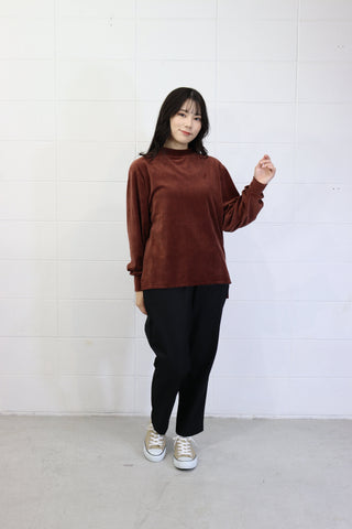 (C-225) Lowneck veIourI/s tee